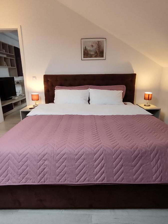 Simona Apartament Palas Mall Jassy Zewnętrze zdjęcie