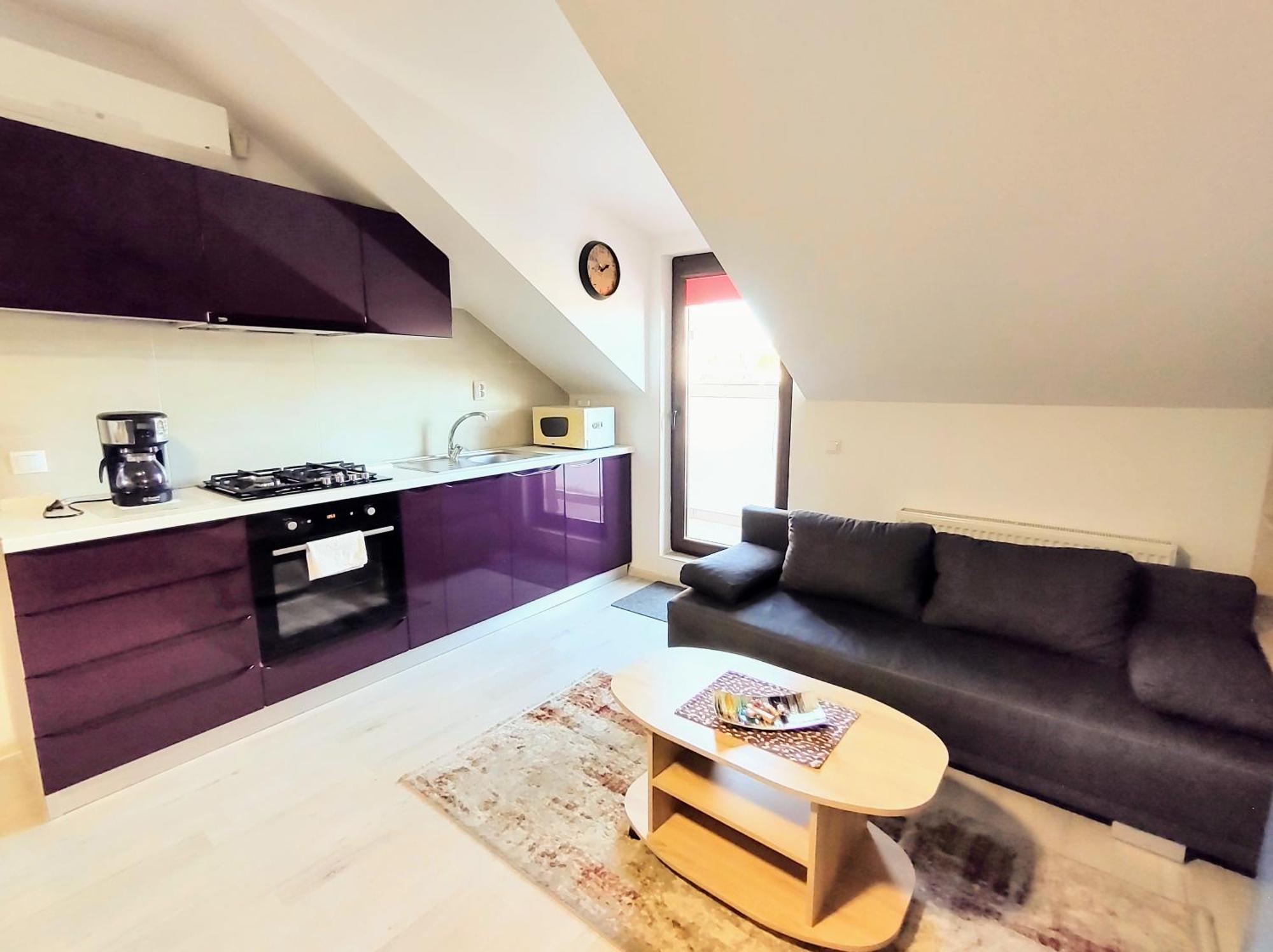 Simona Apartament Palas Mall Jassy Zewnętrze zdjęcie