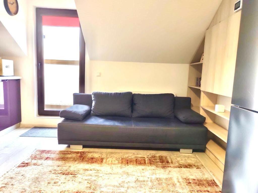 Simona Apartament Palas Mall Jassy Zewnętrze zdjęcie